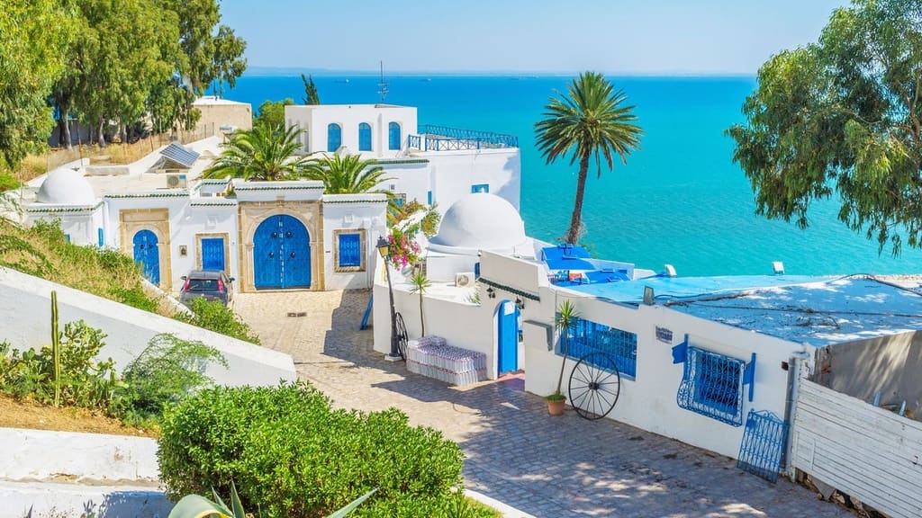 Cap sur la Tunisie