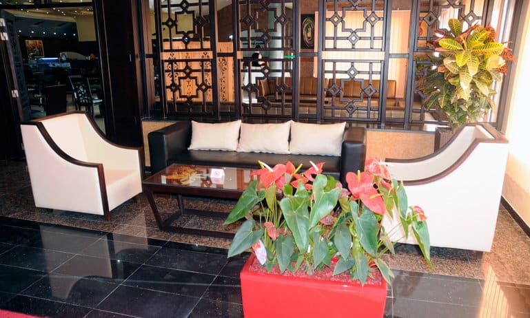 AMINE GARDEN